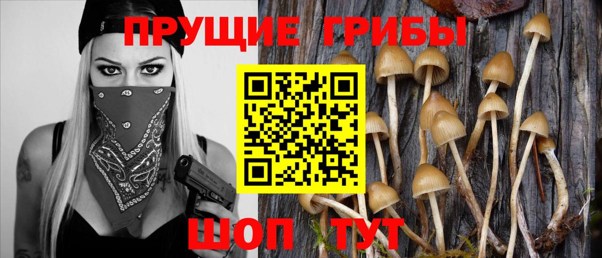 Галлюциногенные грибы GOLDEN TEACHER Зерноград