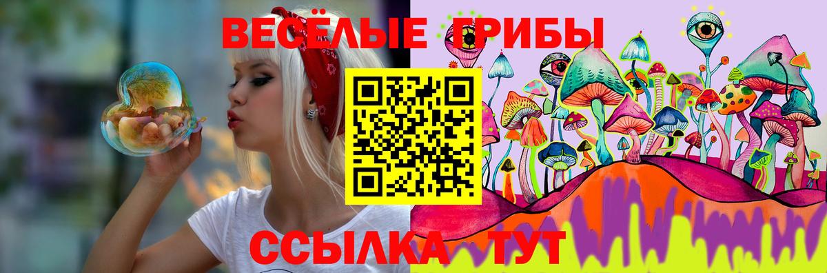 Зерноград  Псилоцибиновые грибы MAGIC MUSHROOMS  Вход с VPN  Галлюциногенные грибы MAGIC MUSHROOMS 